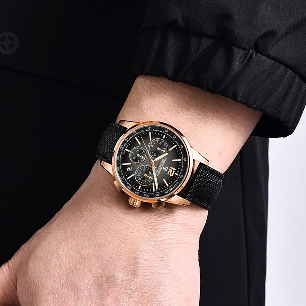 PAGANI DESIGN New Mens Watch 4 - огляд і ціна Luxury Watch Collection