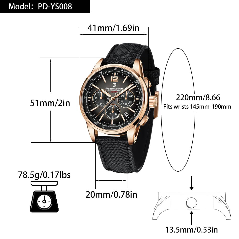 PAGANI DESIGN New Mens Watch 4 - огляд і ціна Luxury Watch Collection